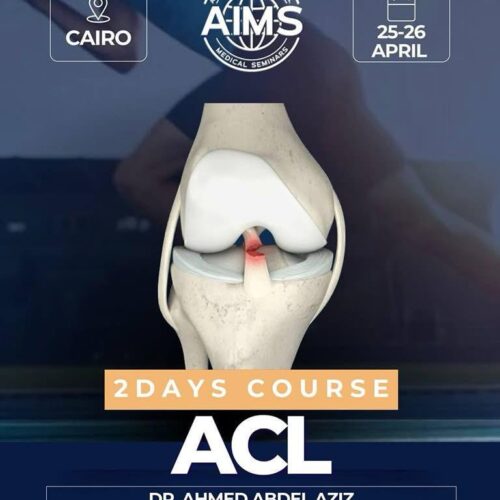 ACL Rehabilitation