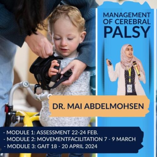 Mastering Cerebral Palsy Program
