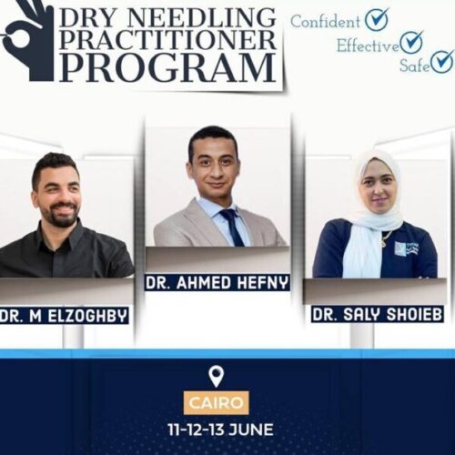 Dry Needling Program