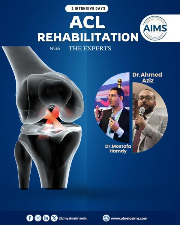 ACL Rehabilitation